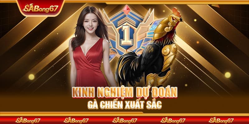 Kinh nghiệm dự đoán gà chiến xuất sắc