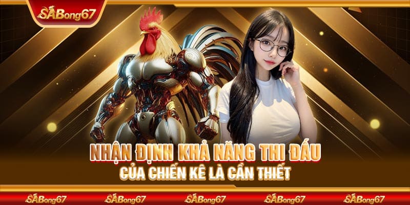 Nhận định khả năng thi đấu của chiến kê là cần thiết
