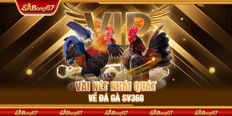 Vài nét khái quát về đá gà SV368