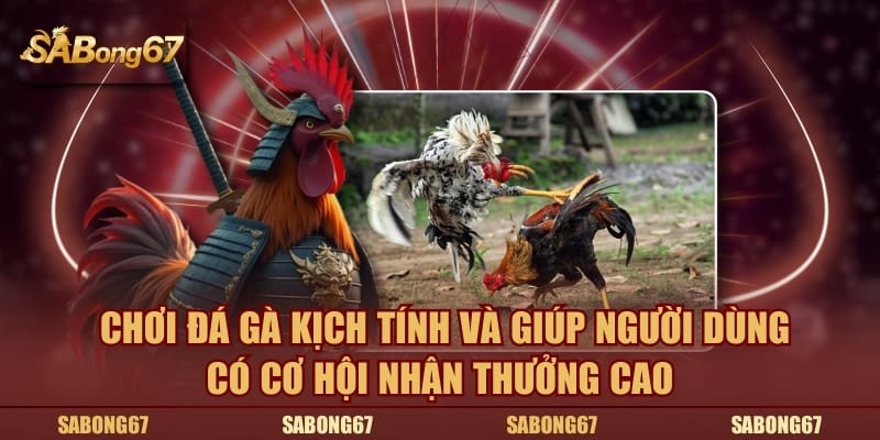 Chơi đá gà kịch tính và giúp người dùng có cơ hội nhận thưởng cao