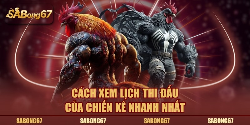 Cách xem lịch thi đấu của chiến kê nhanh nhất