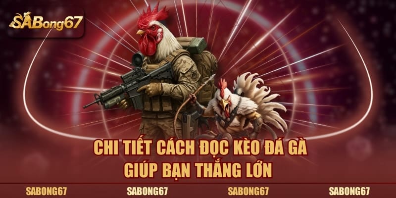 Chi tiết cách đọc kèo đá gà giúp bạn thắng lớn
