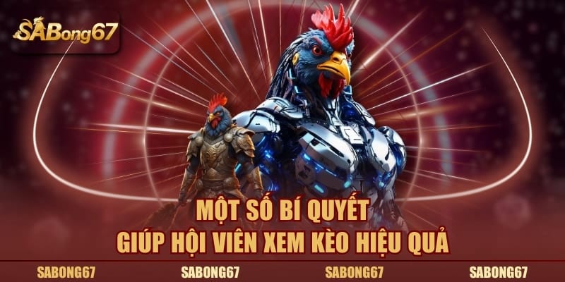 Một số bí quyết giúp hội viên xem kèo hiệu quả