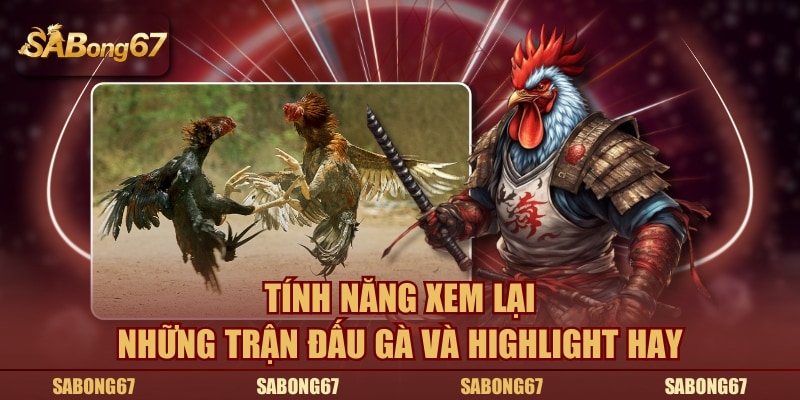 Tính năng xem lại những trận đấu gà và highlight hay