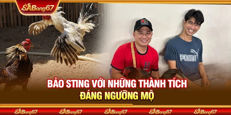 Idol Bảo Sting Nổi Tiếng Với Phong Cách Chơi Gà Độc Đáo 3 Bảo Sting với những thành tích đáng ngưỡng mộ