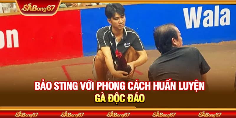 Idol Bảo Sting Nổi Tiếng Với Phong Cách Chơi Gà Độc Đáo 4 Bảo Sting với phong cách huấn luyện gà độc đáo