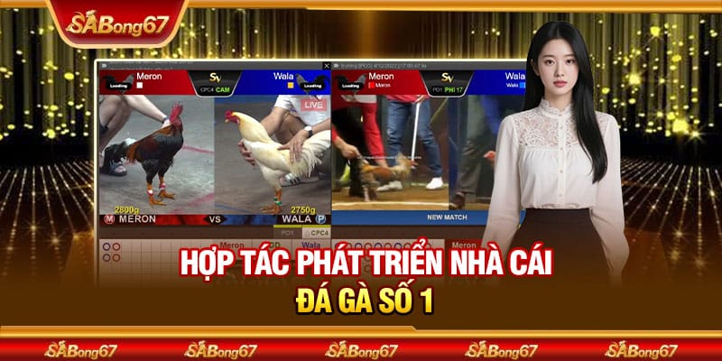 Đối Tác Quốc Tế Uy Tín Cung Cấp Dịch Vụ Tại SABONG67 3 Hợp tác phát triển nhà cái đá gà số 1