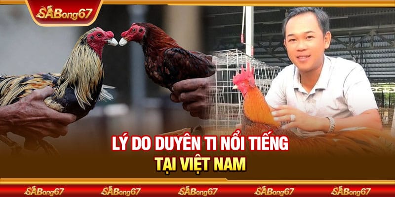 Duyên Ti - Chuyên Gia Huấn Luyện Gà Nổi Tiếng Kiên Giang 3 Lý do Duyên Ti nổi tiếng tại Việt Nam