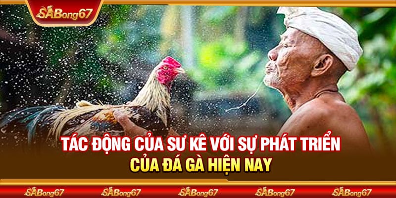 Cùng Sabong67 Tìm Hiểu Ông Thầy Huyền Thoại Nổi Bật Trong Đá Gà Thomo 4 Tác động của sư kê với sự phát triển của đá gà hiện nay